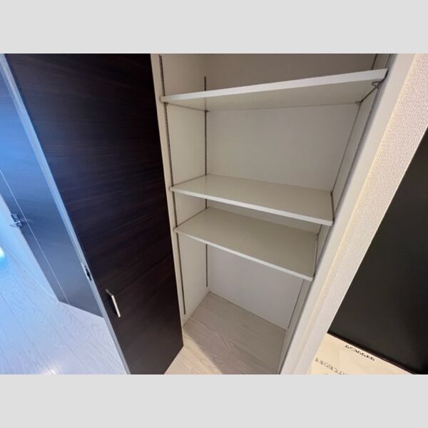 収納 (物入れ(廊下))