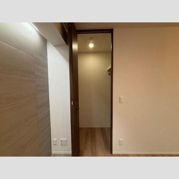 収納 (ウォークインクローゼット)