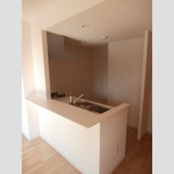 キッチン (カウンターキッチン)