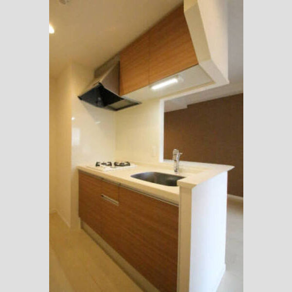 キッチン (206システムキッチン/2口ガスコンロ)