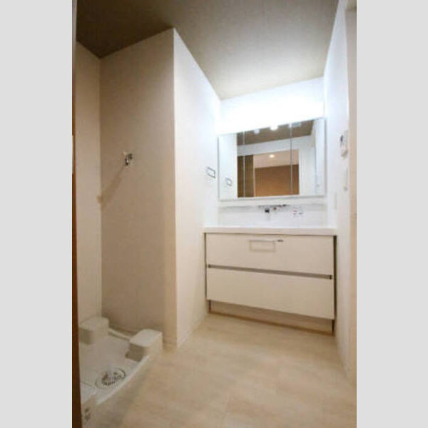 洗面所 (206洗面化粧台)