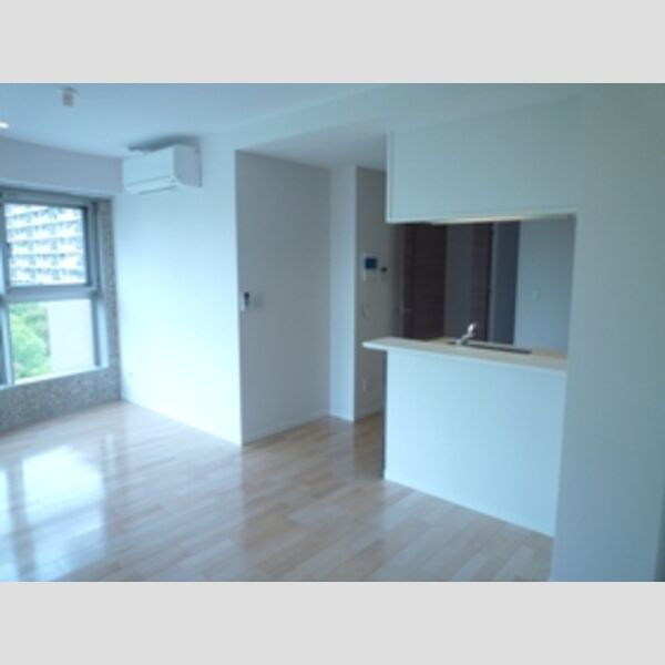 居室・リビング (LDKの雰囲気です♪)