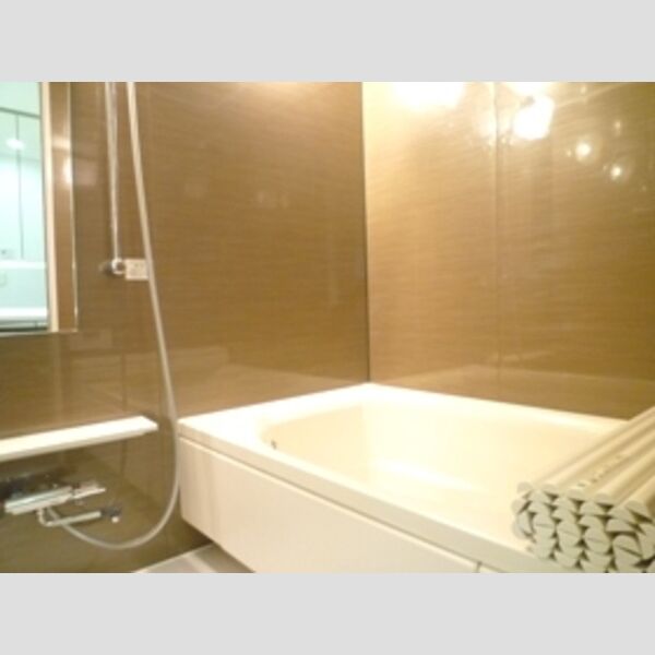 バス (お風呂はミストサウナ機能付きの浴室乾燥機を設置しております)