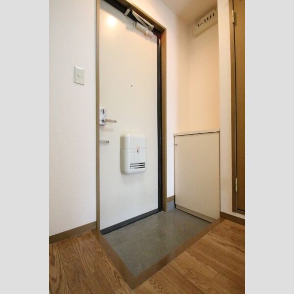 玄関 (シューズボックス)