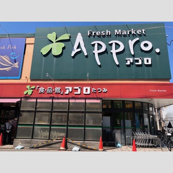 現地周辺 (Approたつみ店)