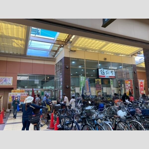 現地周辺 (越前屋20m)