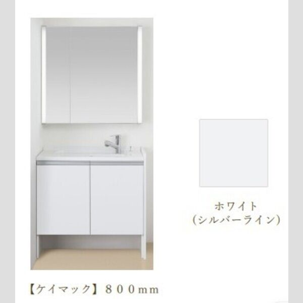 現地周辺 (洗面台 イメージパース)