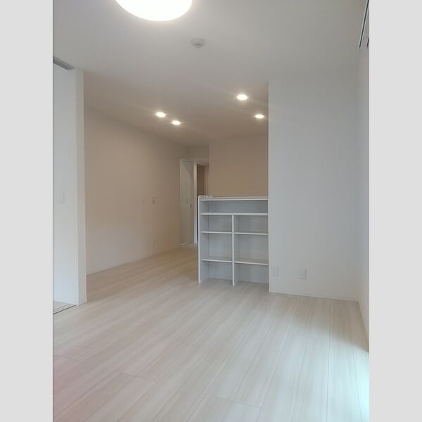 キッチン (キッチンカウンター前収納)