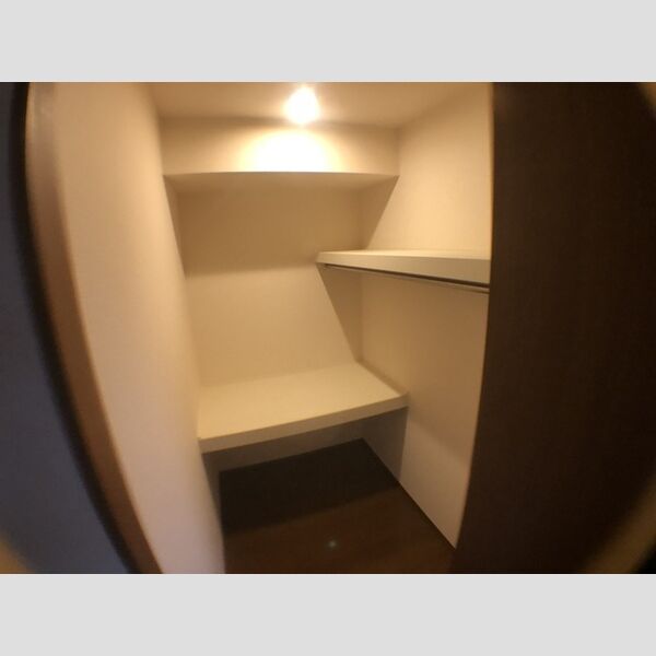 収納 (ウォークインクローゼット)