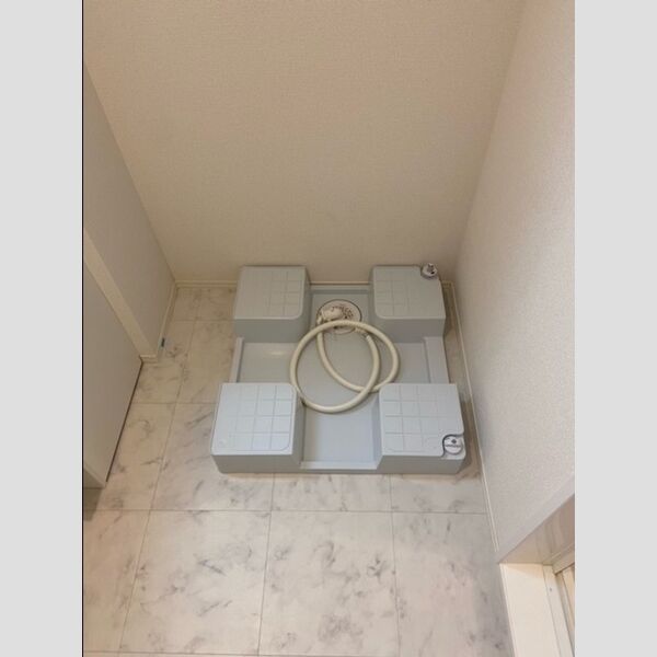 その他 (室内洗濯機置場)