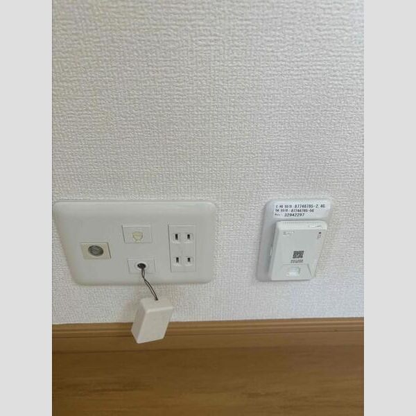 その他設備 (ネット線)