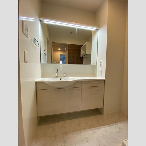 洗面所 (独立洗面台)