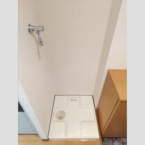 その他 (室内洗濯機置き場)