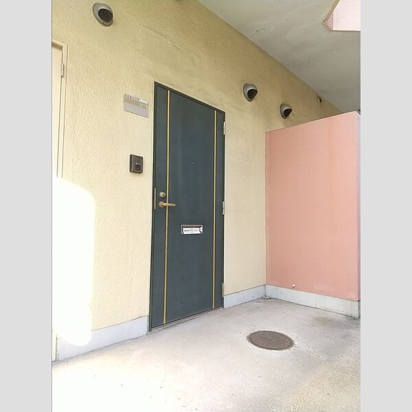 その他 (玄関扉)