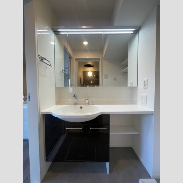 洗面所 (洗髪洗面化粧台)