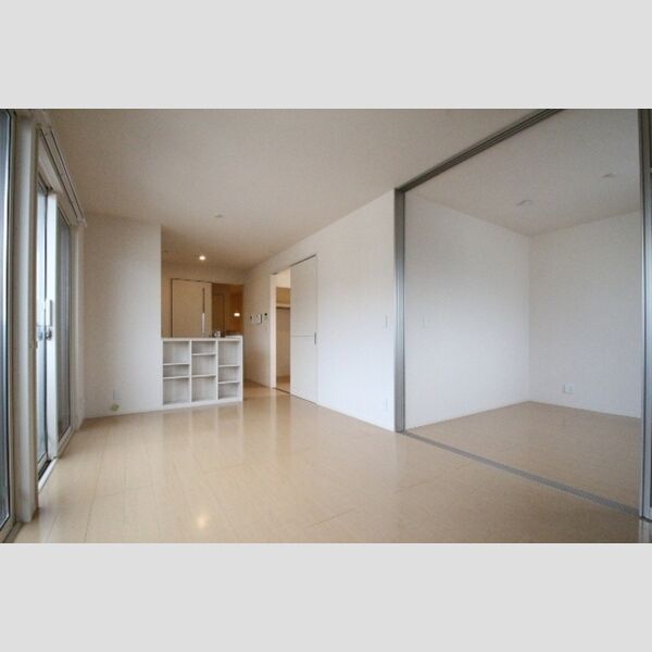 居室・リビング (LDKの雰囲気です)