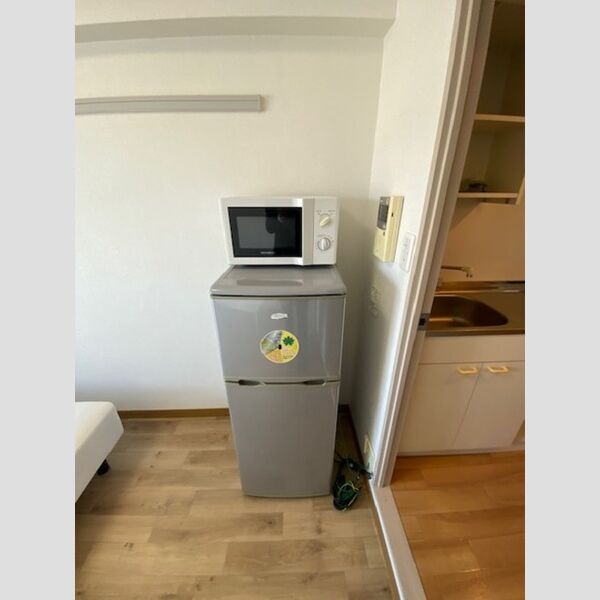 その他 (冷蔵庫・電子レンジ)