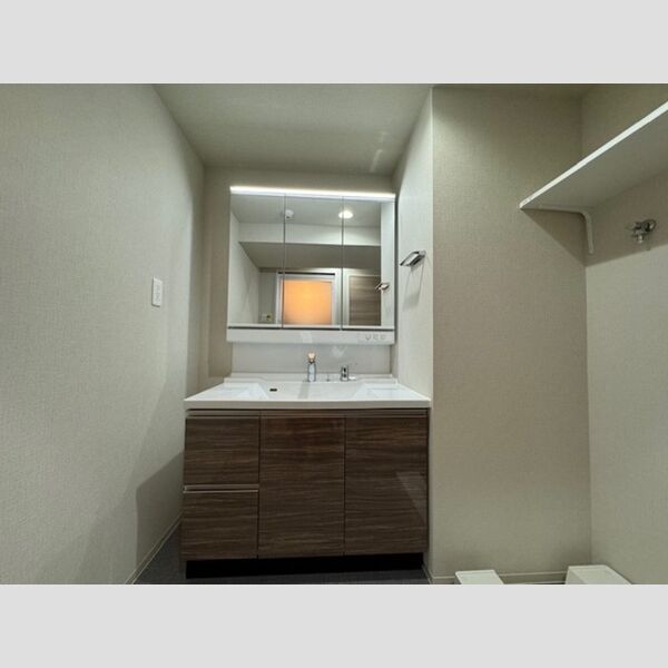 洗面所 (洗面所)