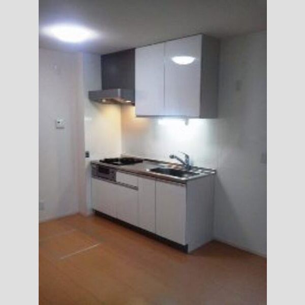 キッチン (システムキッチン(2口ガスグリル付))