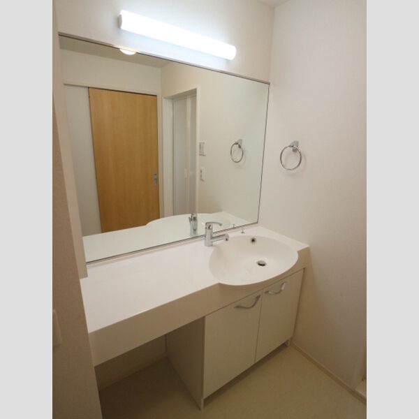 洗面所 (洗髪洗面化粧台)