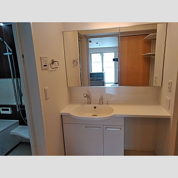 洗面所 (洗髪洗面化粧台)