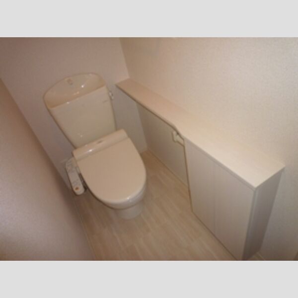 収納 (トイレはちょっとした収納棚付きです♪)