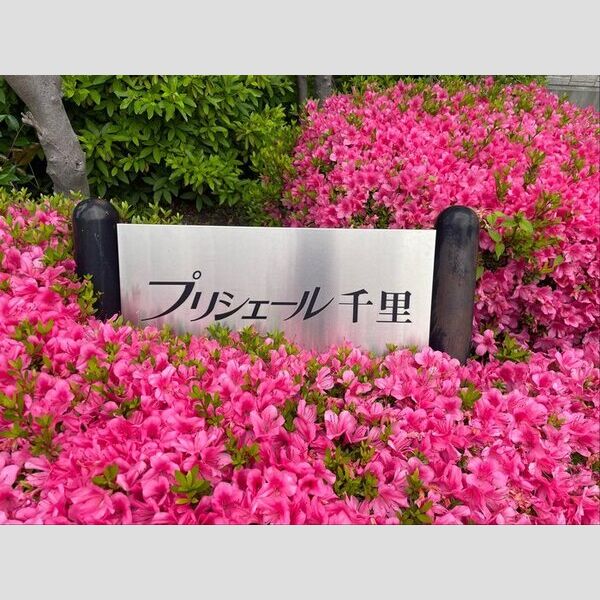 現地周辺 (物件名)