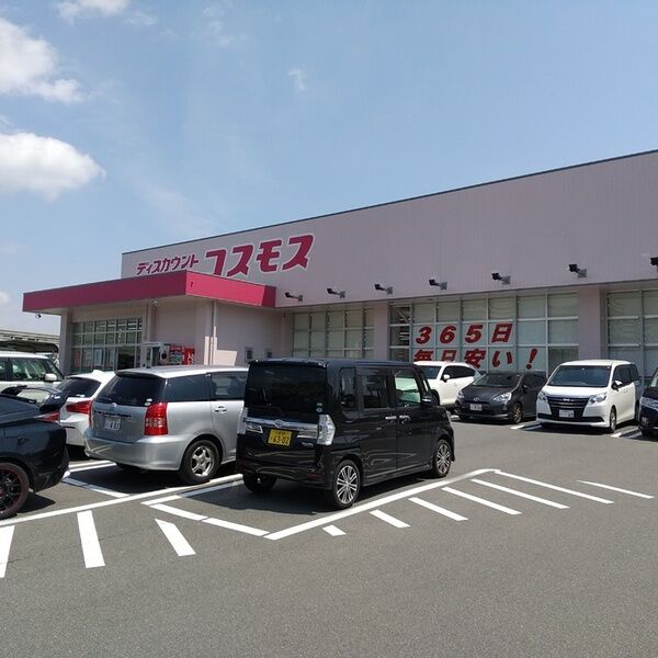 現地周辺 (ドラッグストア)