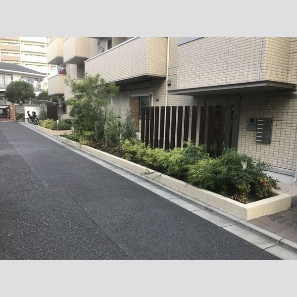 駐車場 (植栽エントランス)