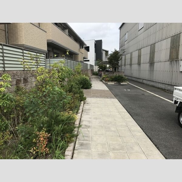 現地周辺 (エントランス)