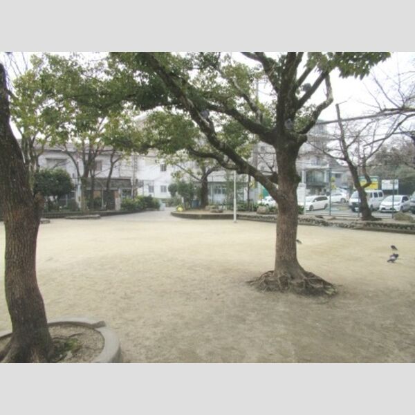 現地周辺 (桜塚公園)