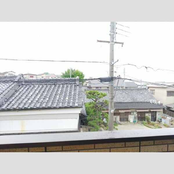 現地周辺 (眺望)