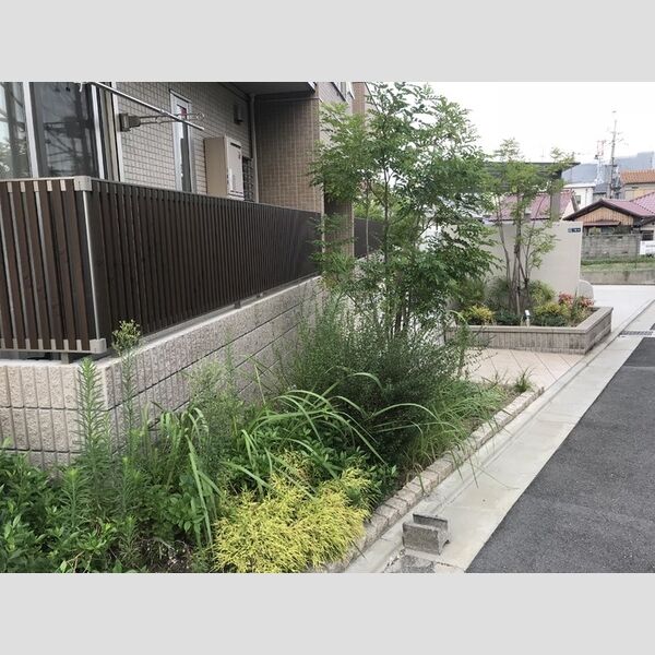 駐車場 (植栽)