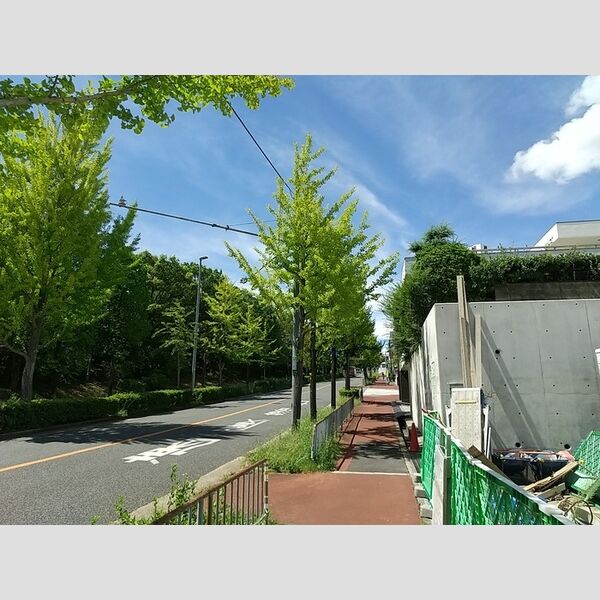 現地周辺 (周辺)