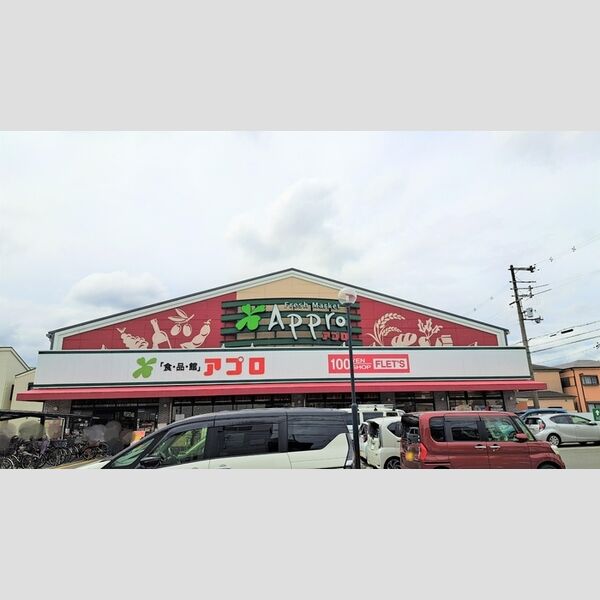 現地周辺 (食品館アプロ沢良宜店(205m))