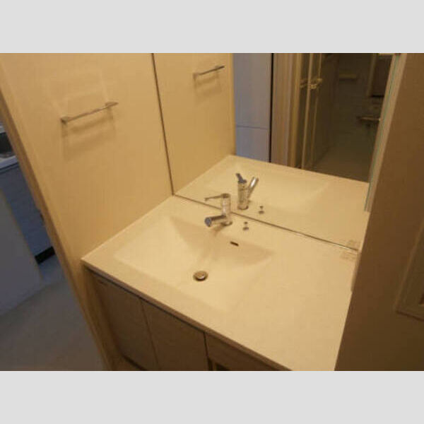 洗面所 (洗髪洗面化粧台(201))