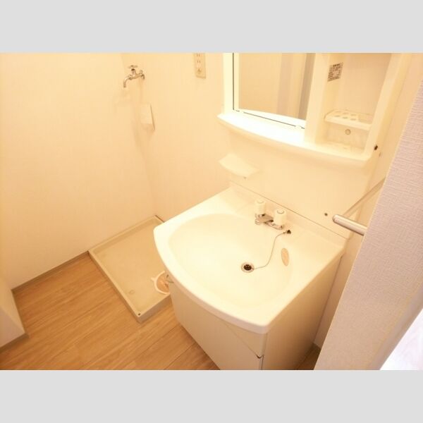 洗面所 (洗髪洗面化粧台　室内洗濯機置き場)