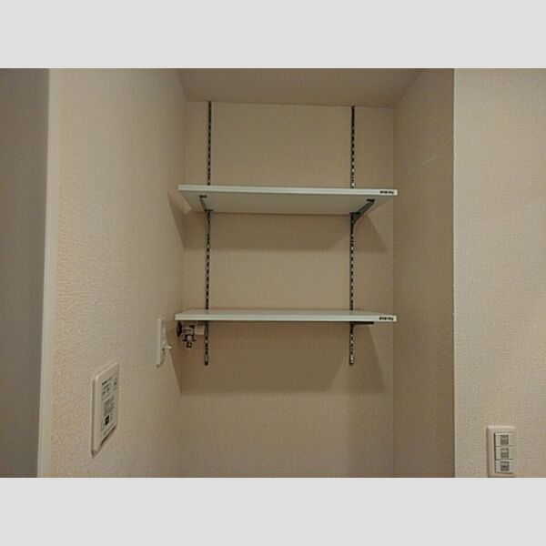 洗面所 (収納棚(室内洗濯機置き場上))