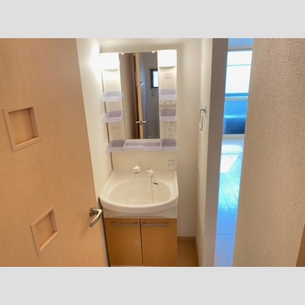 洗面所 (洗髪洗面化粧台)