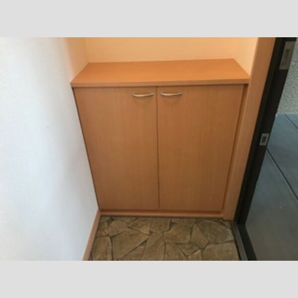 バス (シューズボックス)