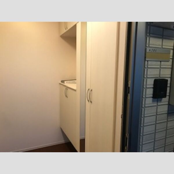 玄関 (シューズボックス)