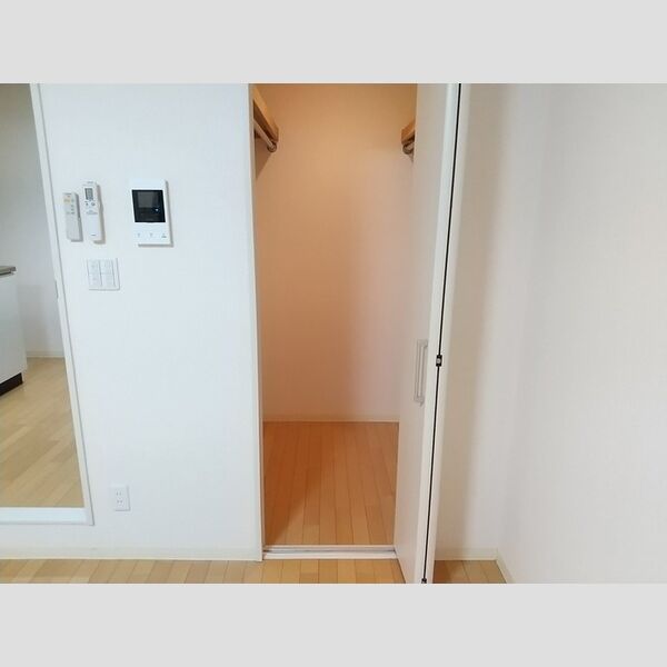 収納 (ウォークインクロゼット)