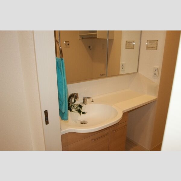 洗面所 (洗髪洗面化粧台)