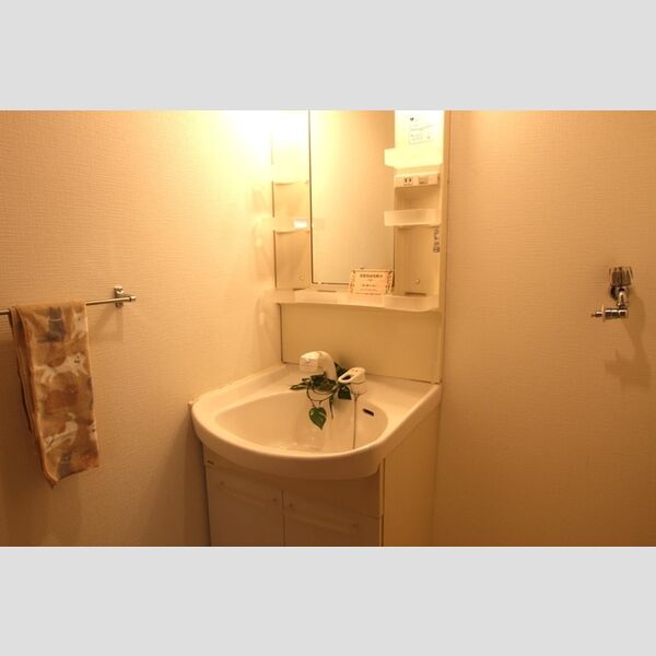 洗面所 (洗髪洗面化粧台)