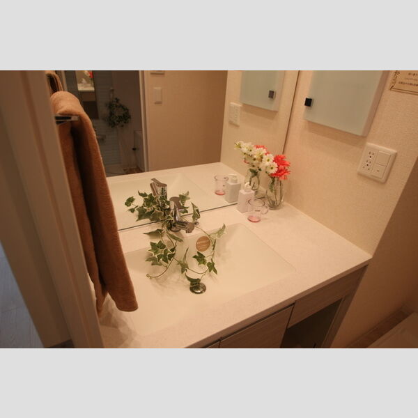 洗面所 (洗髪洗面化粧台)