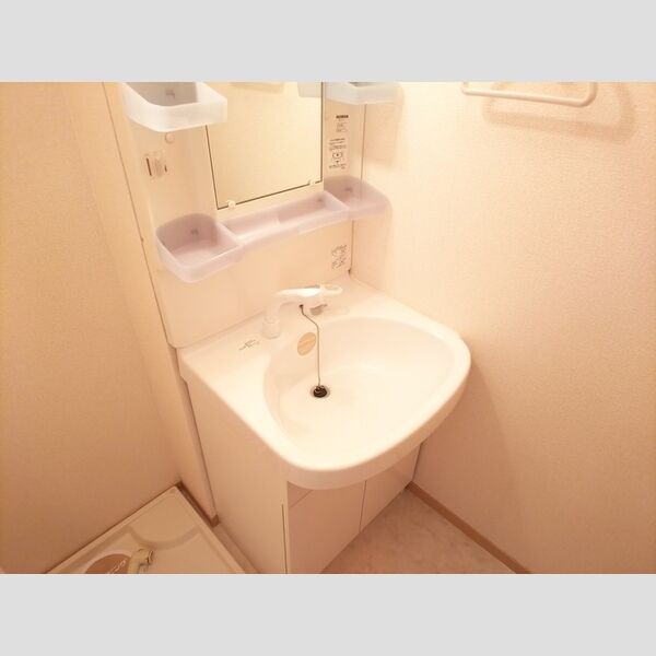 洗面所 (洗髪洗面化粧台)
