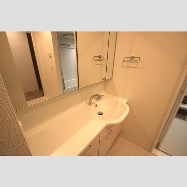 洗面所 (洗髪洗面化粧台)