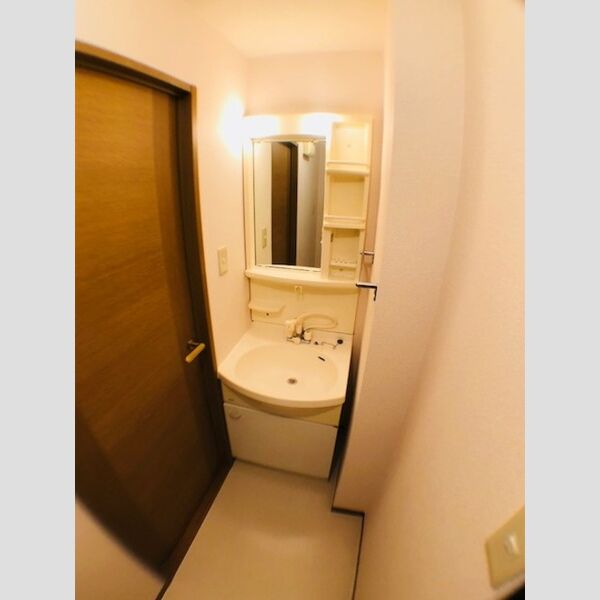 洗面所 (洗髪洗面化粧台)