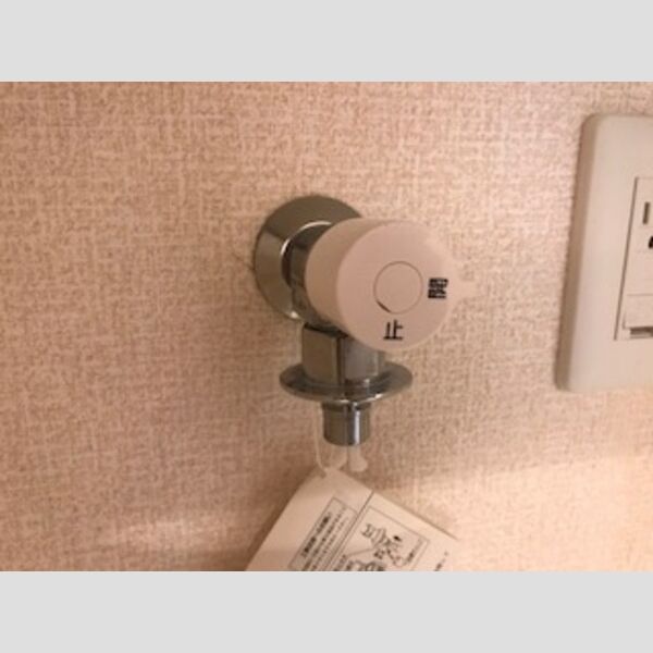 バス