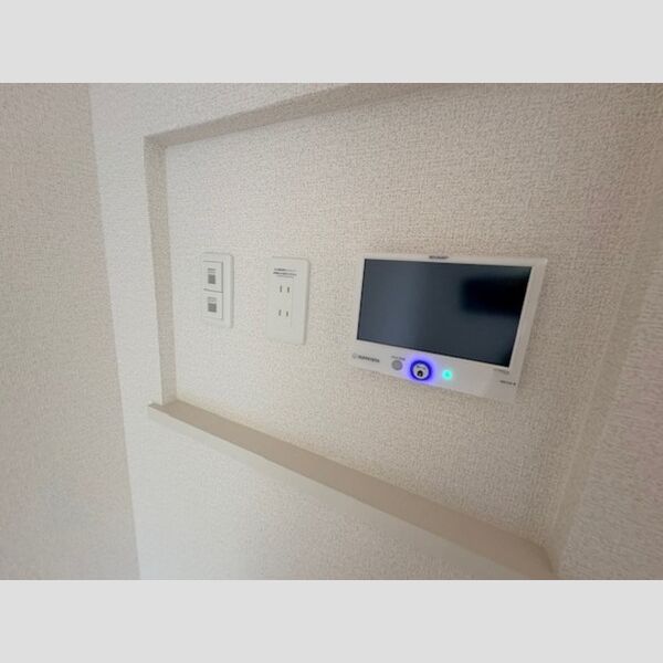 その他 (太陽光モニター)